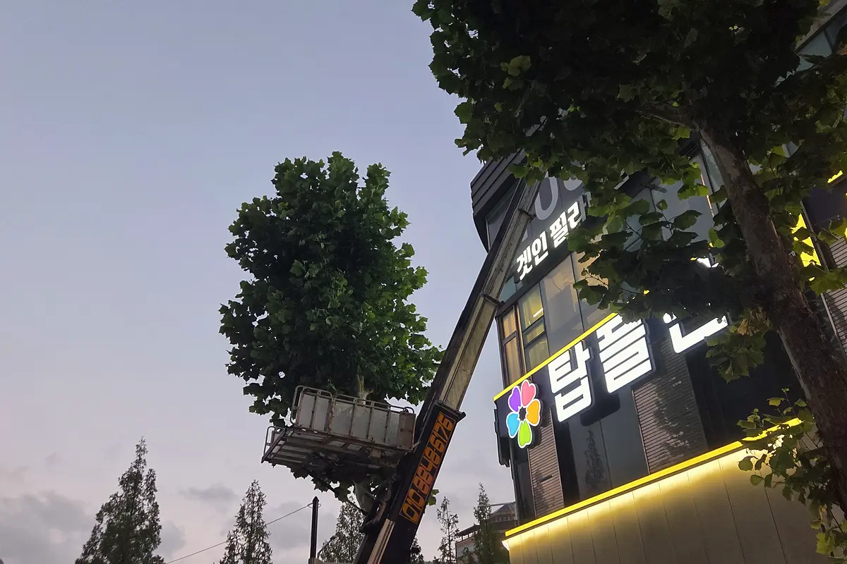 성동구 침수청소 전문업체 현장 사진 5